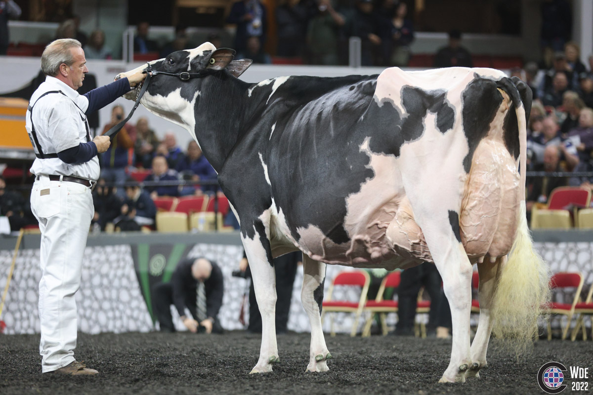 Oakfield Solomon Footloose wins Grand Champion WORLD DAIRY EXPO